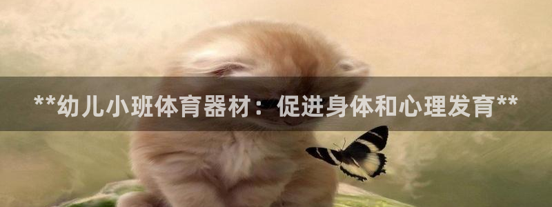 耀世娱乐登录注册教程：**幼儿小班体育器材：促进身体和心理发
