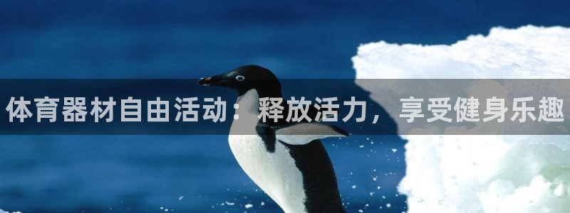 耀世盛典官网入口：体育器材自由活动：释放活力，享受健身乐趣