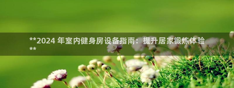 耀世娱乐注册官网账号：**2024 年室内健身房设备