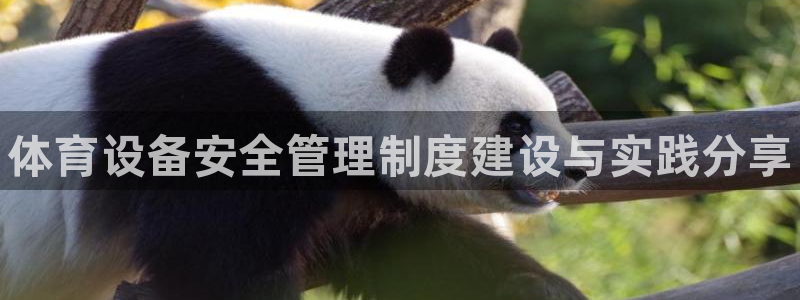 耀世娱乐老板是哪里人