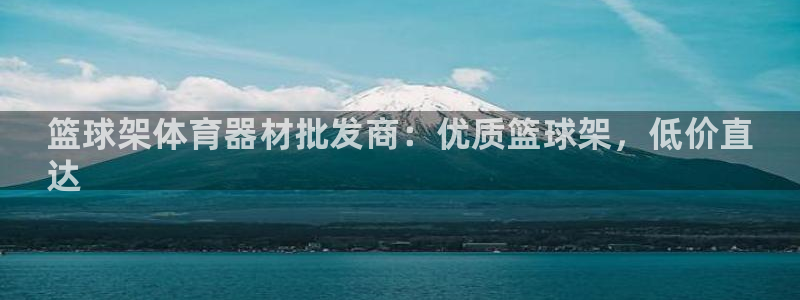 耀世挑战第三关怎么打：篮球架体育器材批发商：优质篮球架，低价