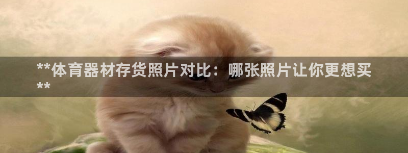 耀世娱乐官网网站登录：**体育器材存货照片对比：哪张照片让你