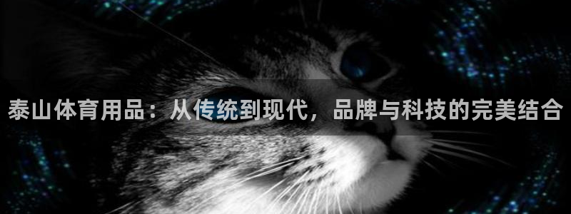 耀世娱乐骗局揭秘：泰山体育用品：从传统到现代，品牌与