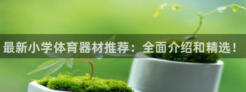 耀世娱乐中国总部地址：最新小学体育器材推荐：全面介绍