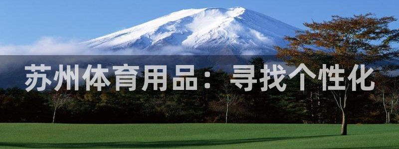 耀世娱乐返点多少钱：苏州体育用品：寻找个性化