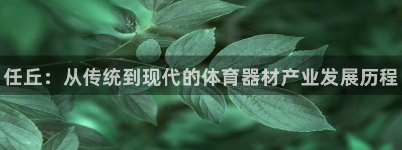 耀世娱乐提现失败原因：任丘：从传统到现代的体育器材产