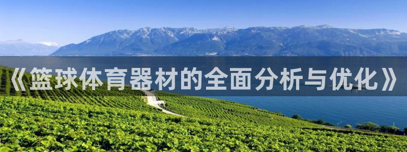 耀世娱乐返点多少钱：《篮球体育器材的全面分析与优化》