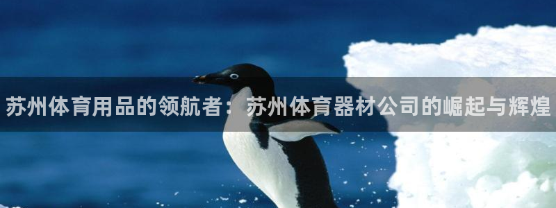 耀世集团四个字的图片：苏州体育用品的领航者：苏州体育器材公司